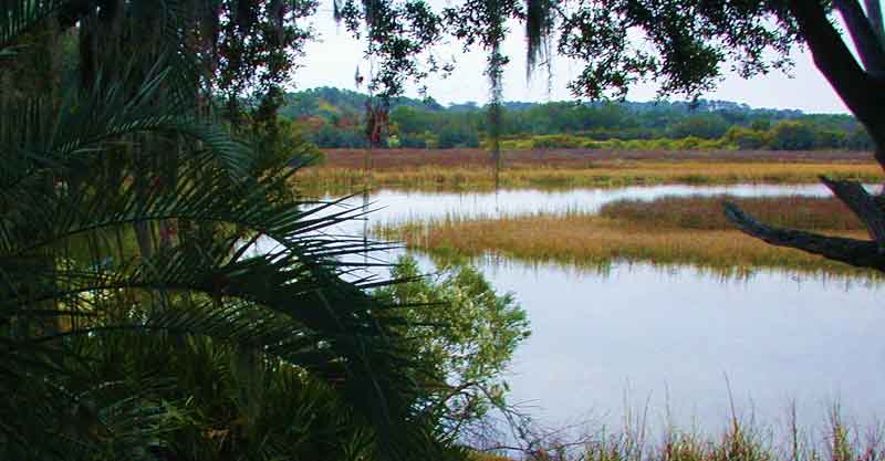 River and Marsh views from door and deck