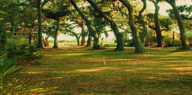 Waterfront Weddings on Saint Simons Island, Georgia